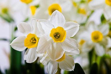 《艾尔登法环：黄金树幽影》大幅提振万代南梦宫财年业绩